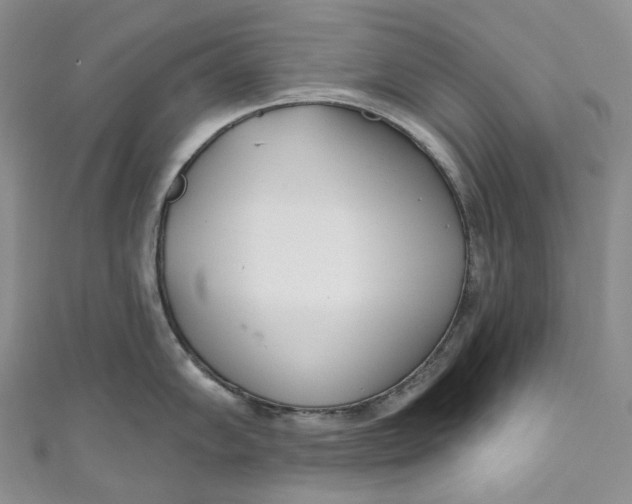 X0000110901102200907021532