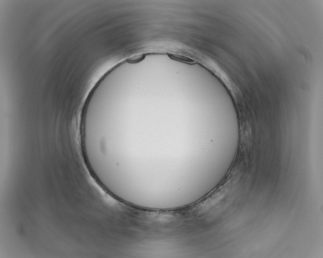 X0000110901103200907021532