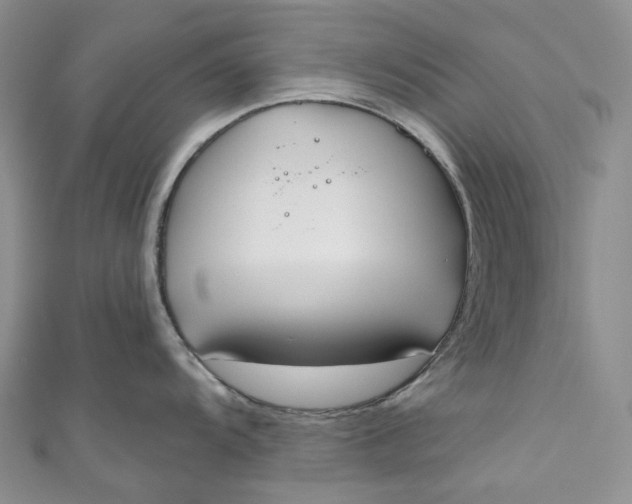 X0000110901104200907021532