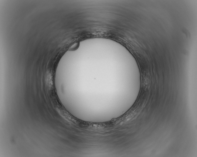 X0000110901106200907021532