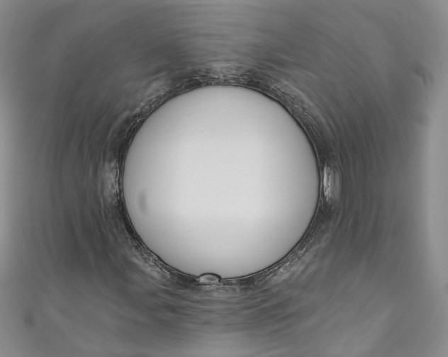 X0000110901107200907021532