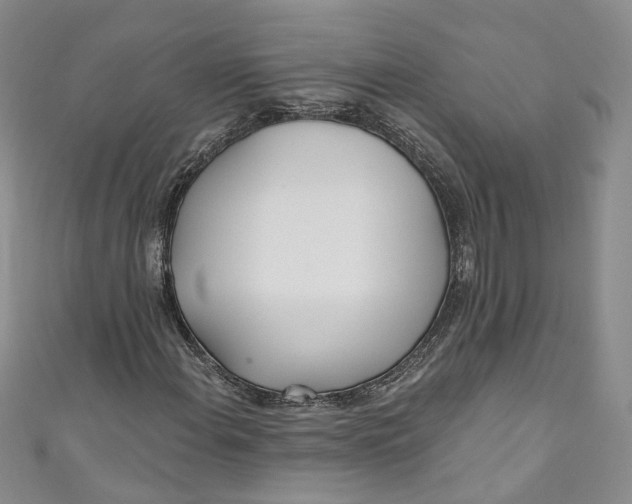 X0000110901108200907021532