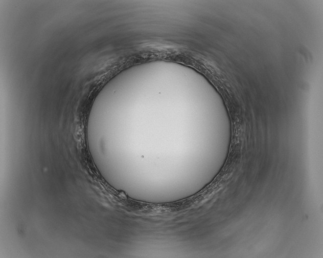 X0000110901109200907021532