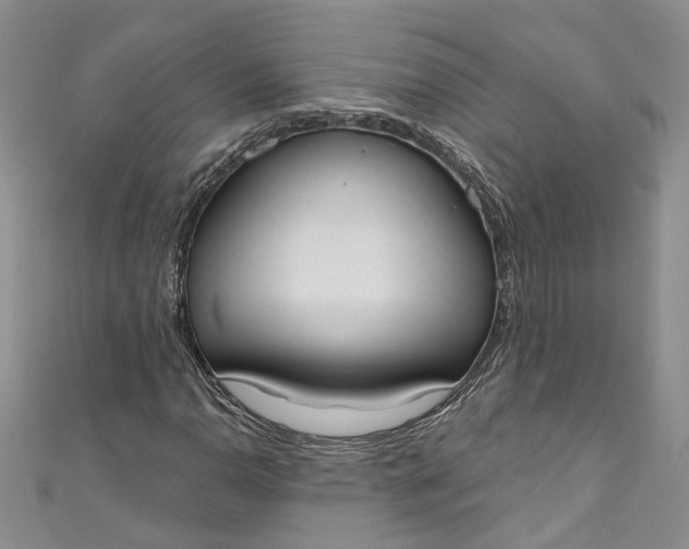 X0000110901110200907021532