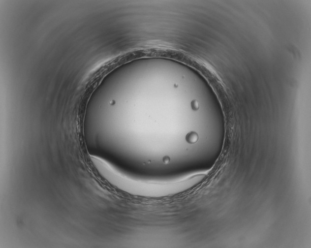 X0000110901112200907021532
