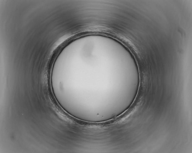 X0000110901114200907021532