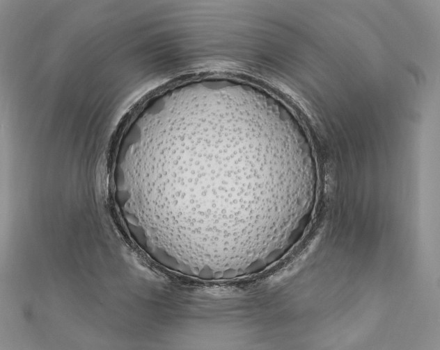 X0000110901117200907021532