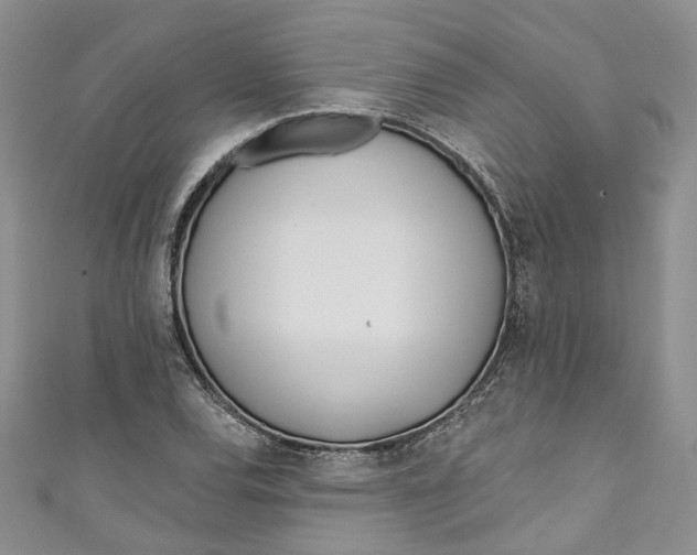 X0000110901120200907021532