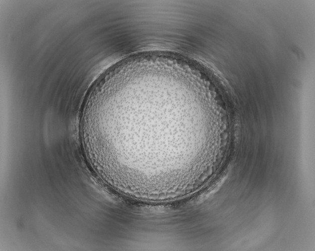X0000110901121200907021532