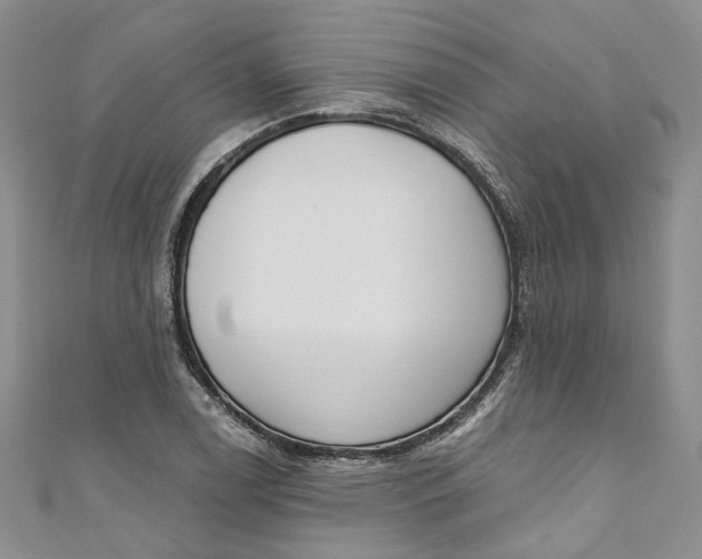 X0000110901122200907021532