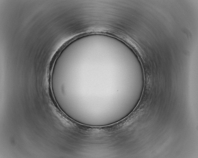 X0000110901124200907021532