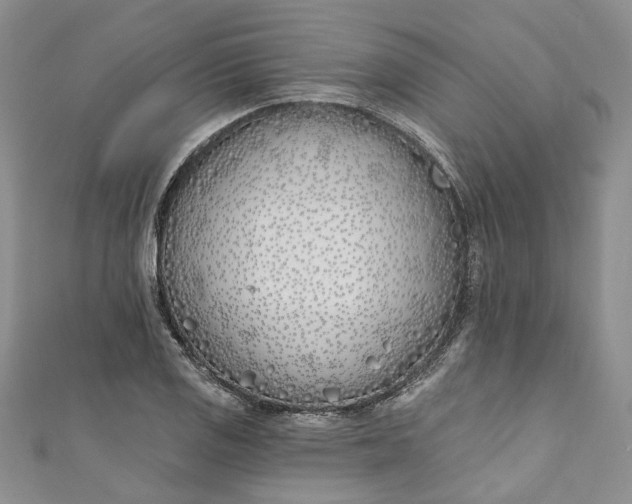 X0000110901125200907021532