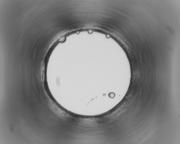 X0000110901126200907021532