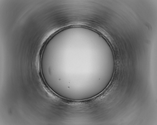 X0000110901127200907021532