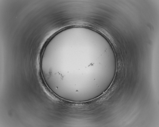X0000110901128200907021532