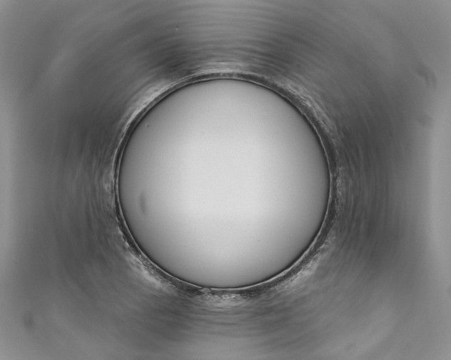 X0000110901129200907021532