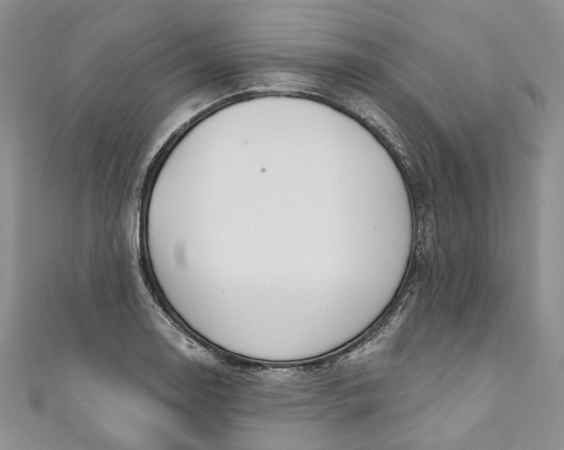 X0000110901130200907021532