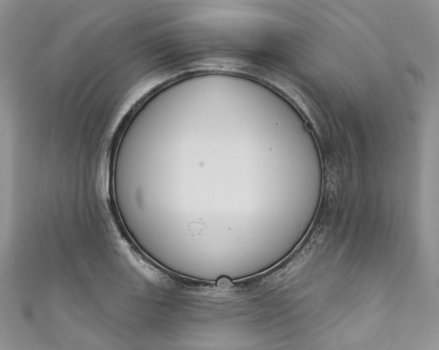 X0000110901131200907021532