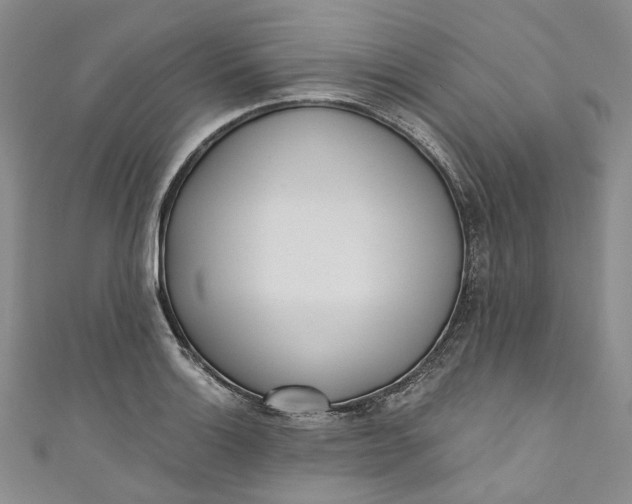 X0000110901132200907021532