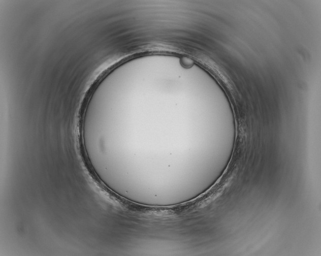 X0000110901133200907021532