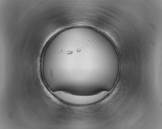 X0000110901134200907021532