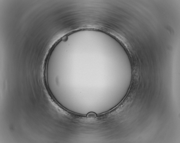 X0000110901135200907021532