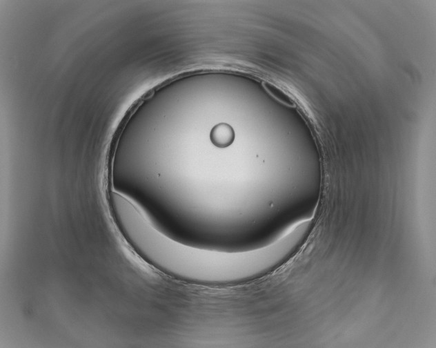 X0000110901136200907021532