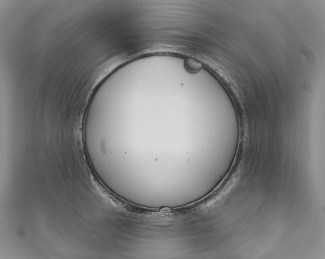 X0000110901137200907021532