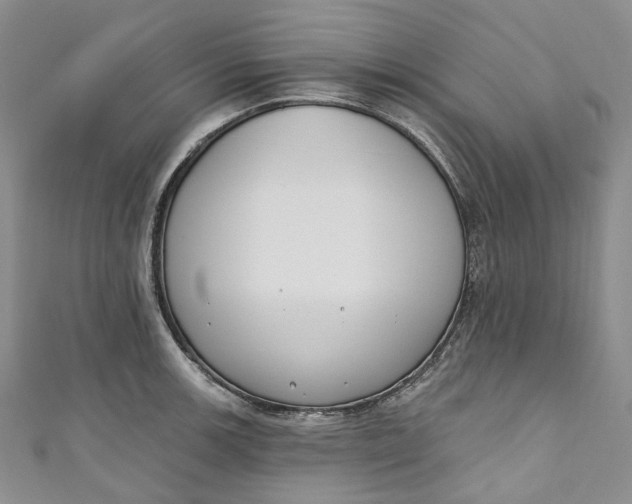 X0000110901139200907021532