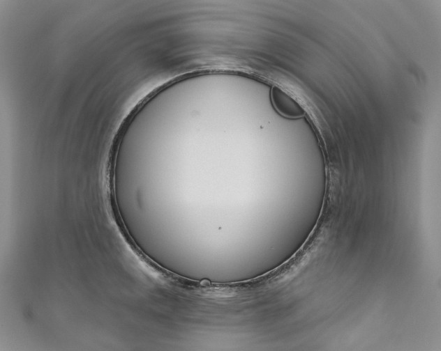 X0000110901141200907021532