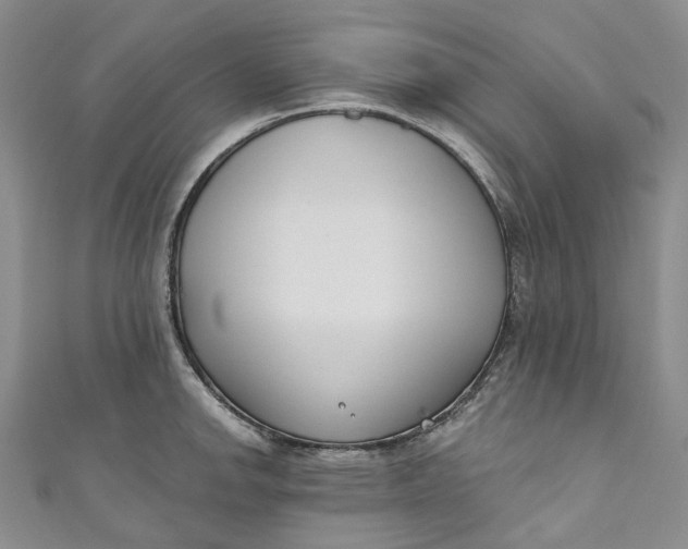 X0000110901142200907021532