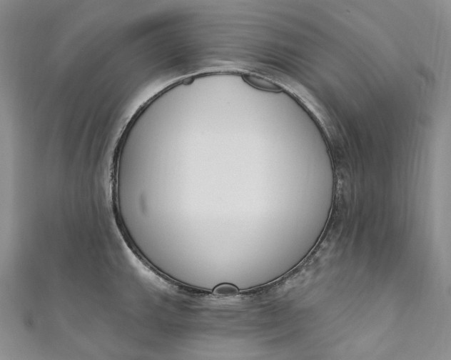 X0000110901143200907021532
