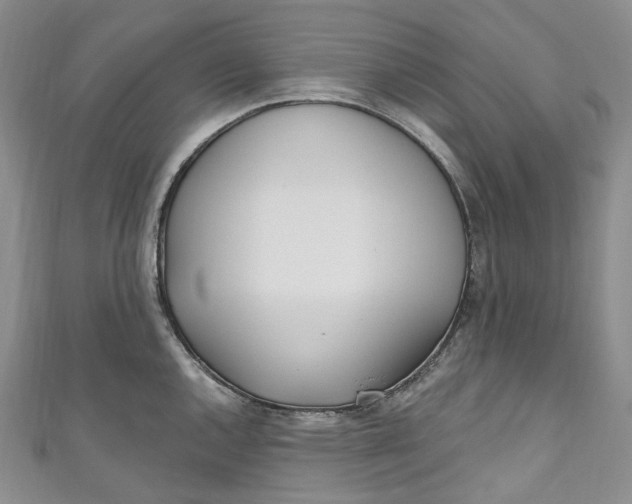 X0000110901144200907021532
