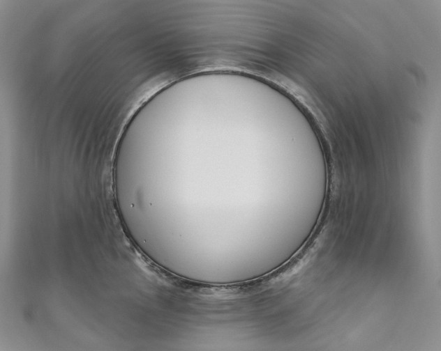 X0000110901145200907021532