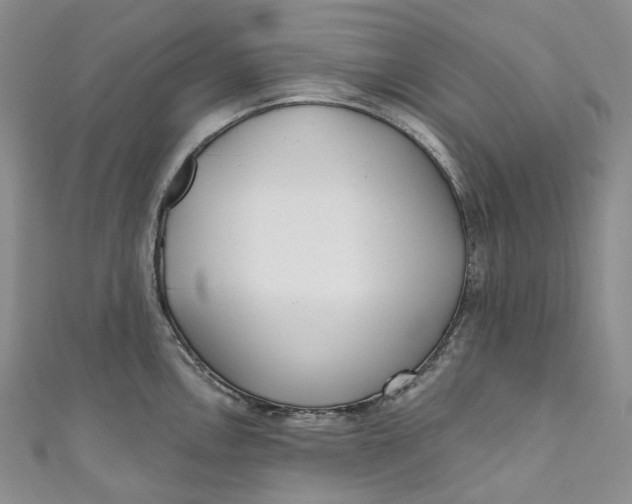 X0000110901146200907021532