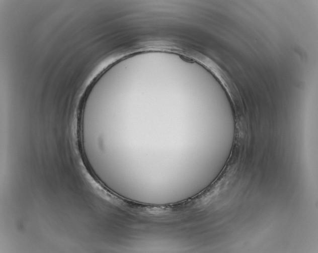 X0000110901147200907021532