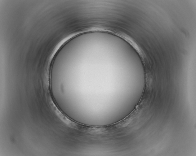 X0000110901148200907021532