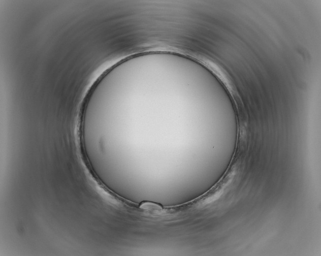 X0000110901149200907021532