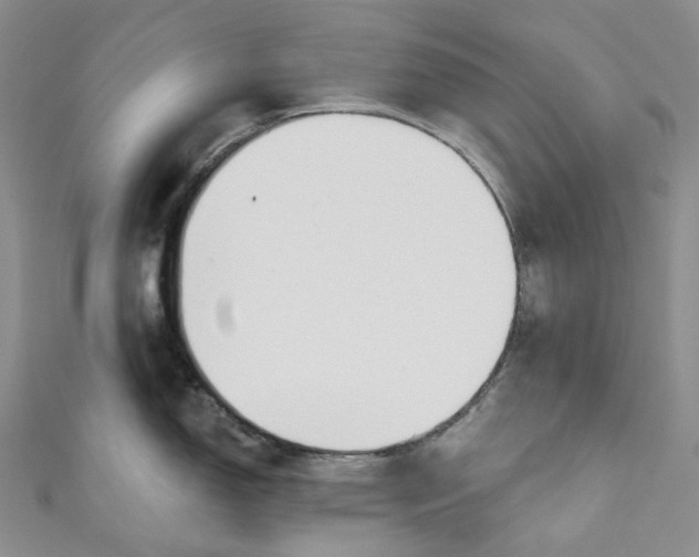 X0000110901150200907021532