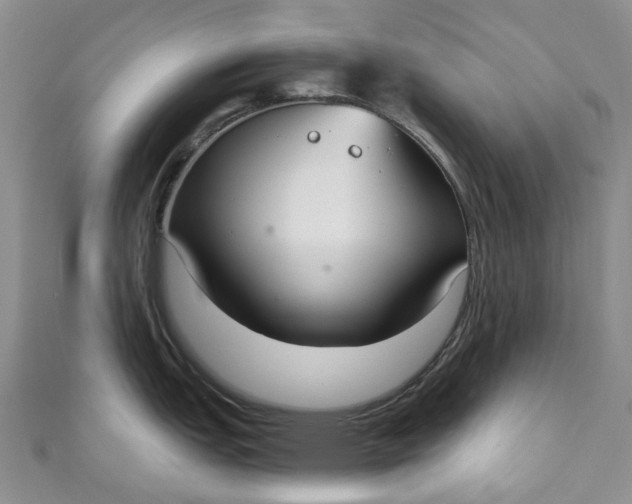 X0000110901151200907021532