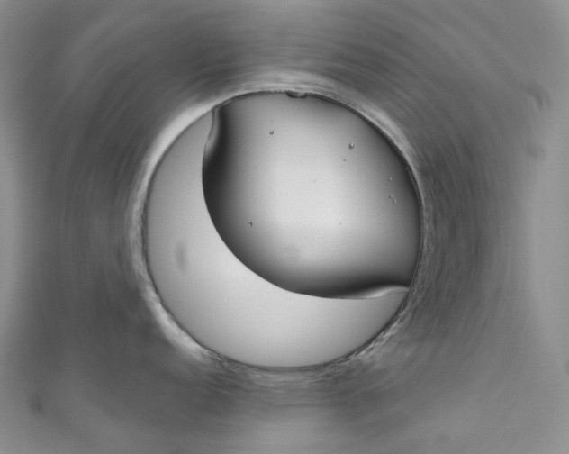X0000110901152200907021532