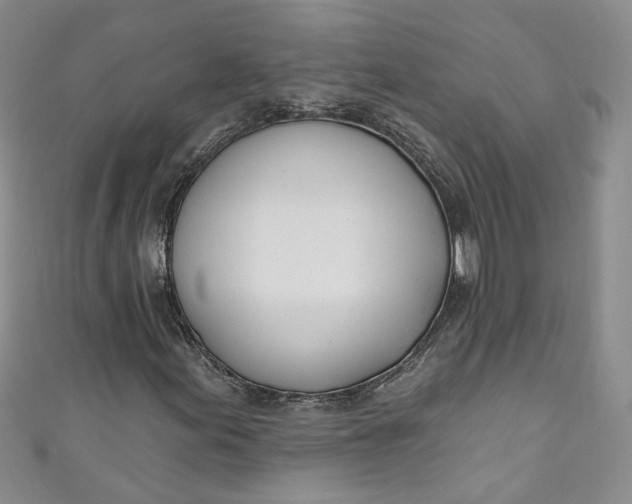 X0000110901155200907021532
