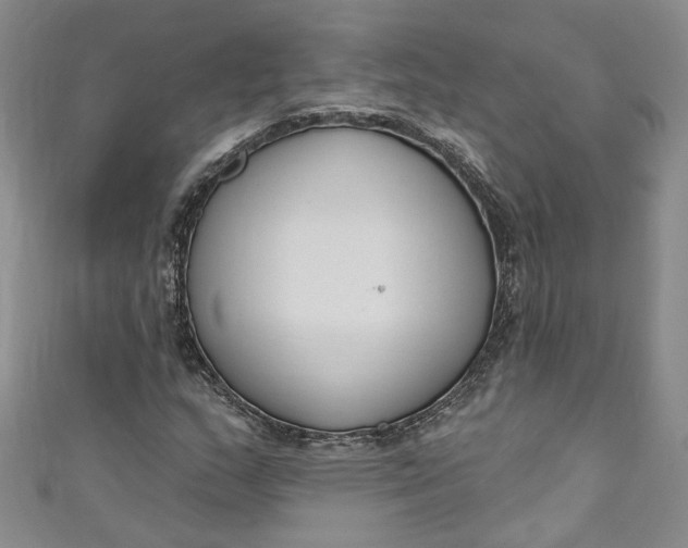 X0000110901159200907021531