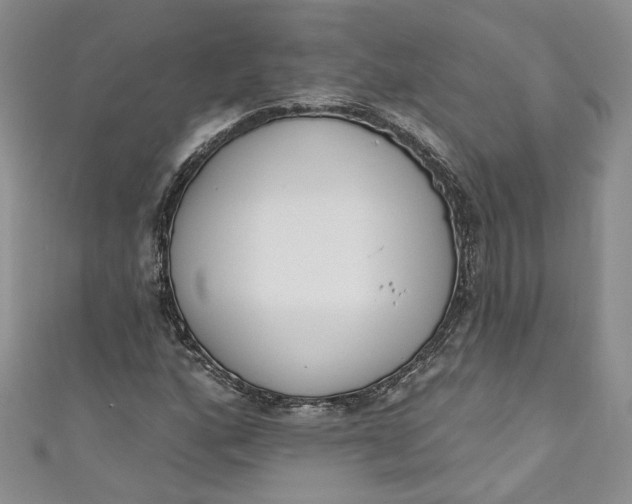 X0000110901160200907021531