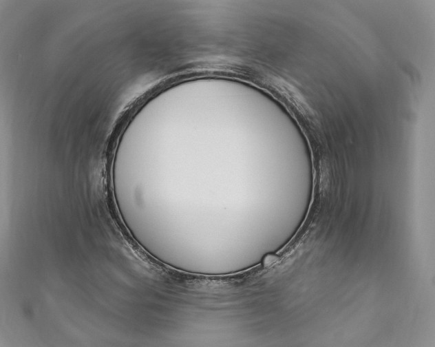 X0000110901164200907021531
