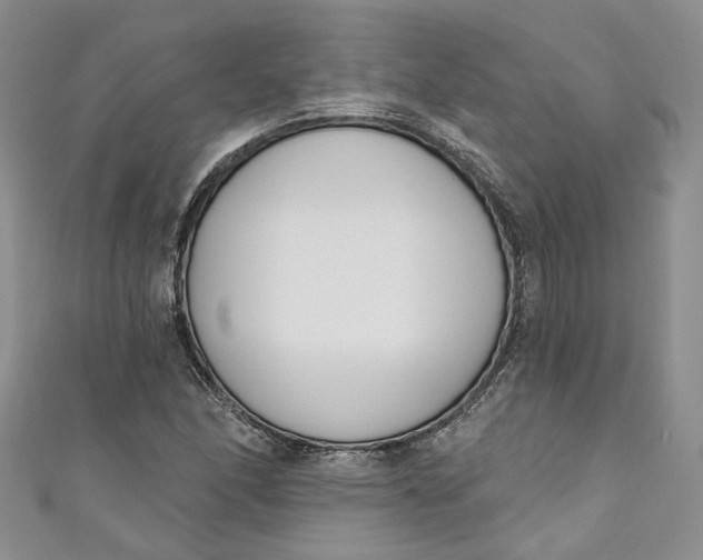 X0000110901166200907021531