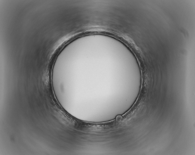 X0000110901167200907021531