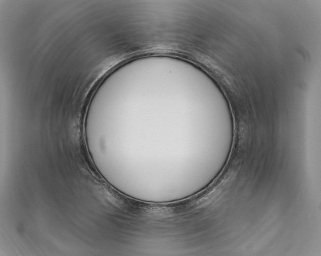 X0000110901170200907021531