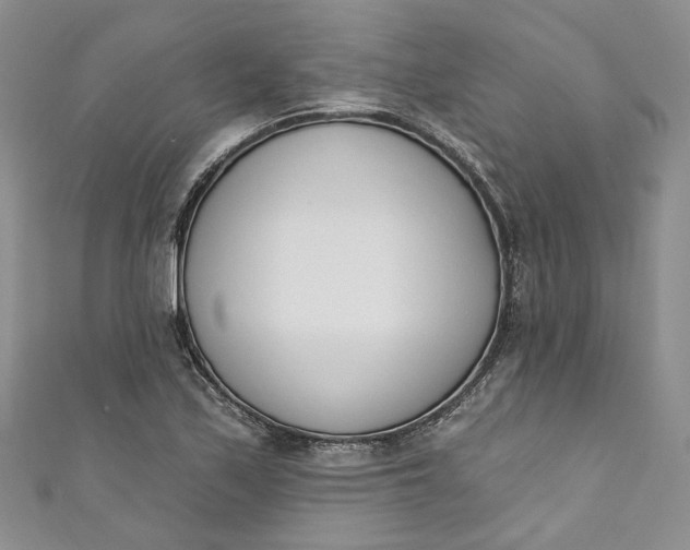 X0000110901171200907021531