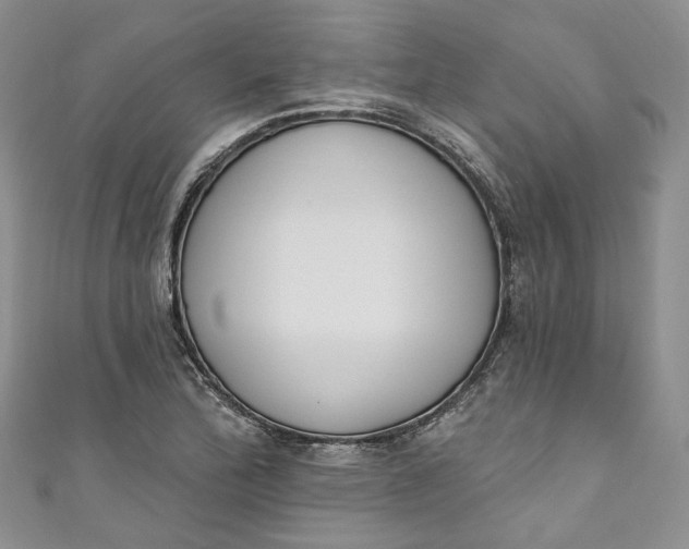 X0000110901172200907021531